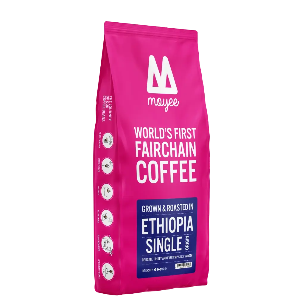 BOX SINGLE (24 x250G)