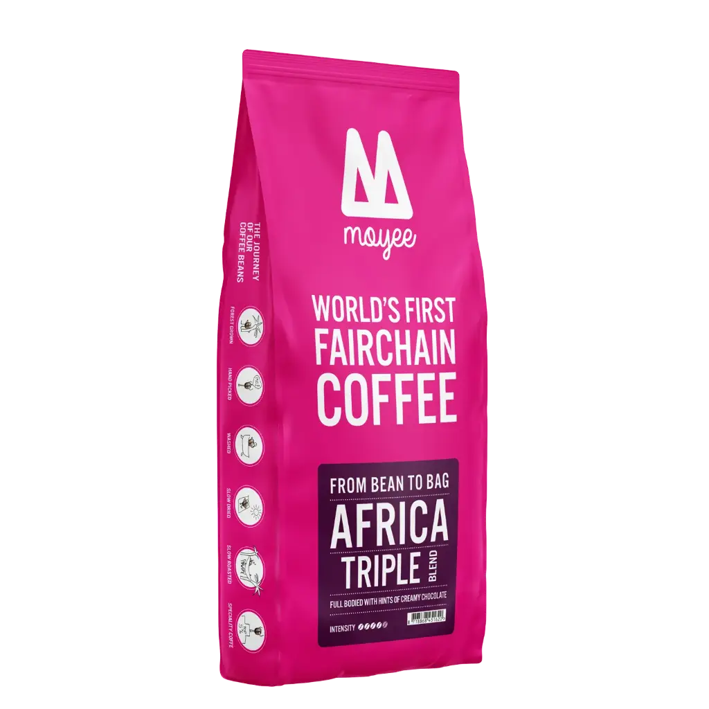 BOX TRIPLE (24 x250g)