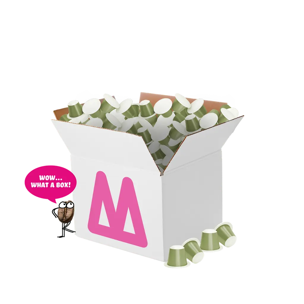 Box Capsules / Lungo - 1000 capsules