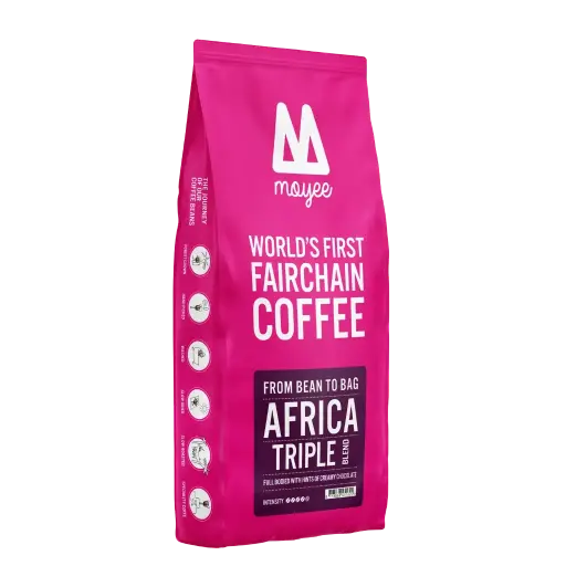 BOX TRIPLE (24 x250g)